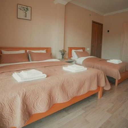 Hotel Surami المظهر الخارجي الصورة