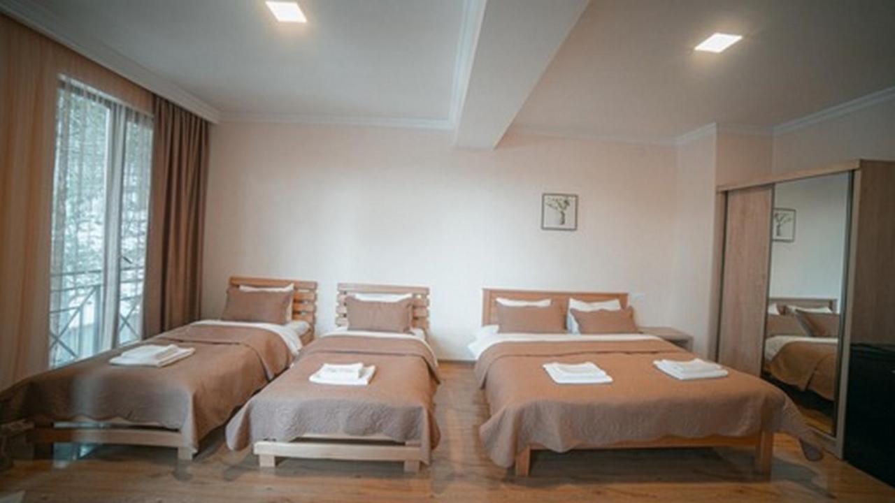 Hotel Surami المظهر الخارجي الصورة