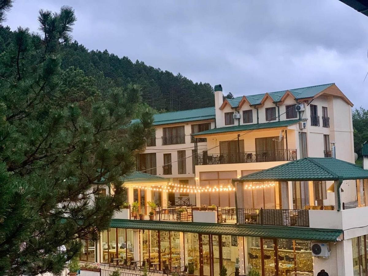 Hotel Surami المظهر الخارجي الصورة