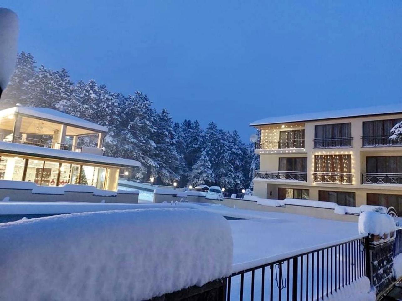 Hotel Surami المظهر الخارجي الصورة