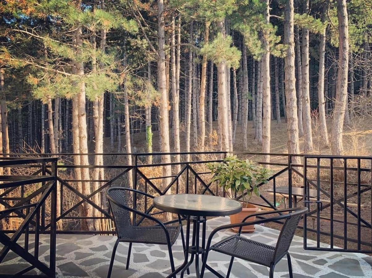 Hotel Surami المظهر الخارجي الصورة